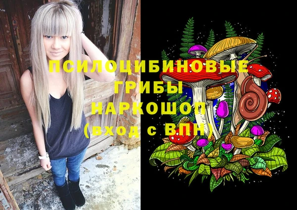 альфа пвп Заводоуковск